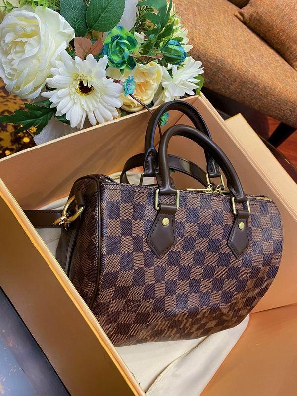 LV Handbags 34